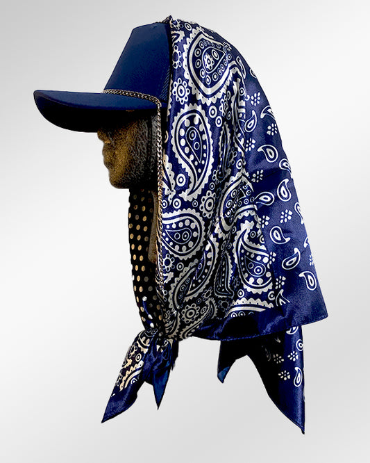 Quiet White Rose with Navy Dotted Paisley Print